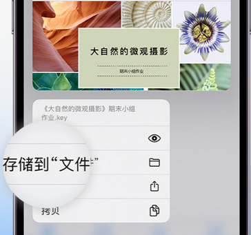 硚口apple维修中心分享iPhone文件应用中存储和找到下载文件