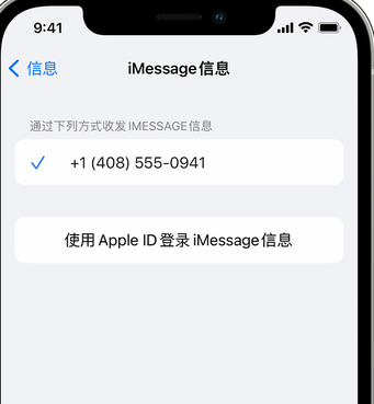 硚口apple维修iPhone上无法正常发送iMessage信息 