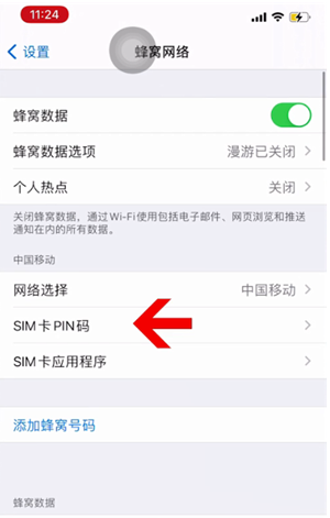 硚口苹果14维修网分享如何给iPhone14的SIM卡设置密码 