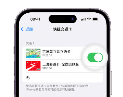 硚口apple维修点分享iPhone上更换Apple Pay快捷交通卡手绘卡面 