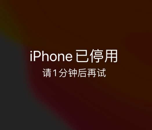 硚口苹果手机维修分享:iPhone 显示“不可用”或“已停用”怎么办？还能保留数据吗？ 