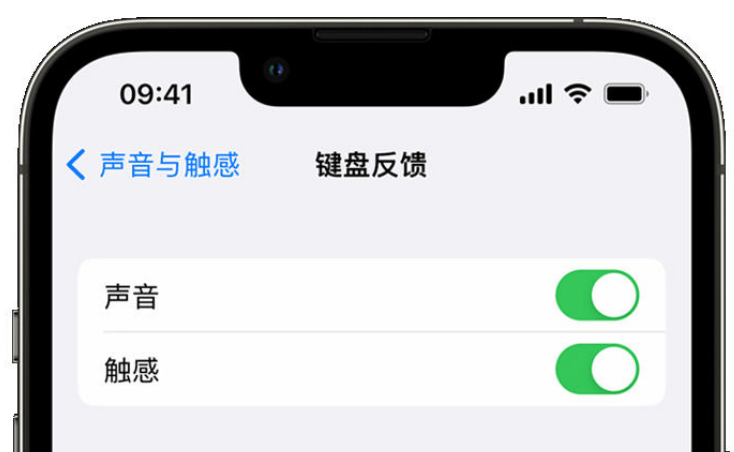 硚口苹果手机维修分享iPhone 14触感键盘使用方法 