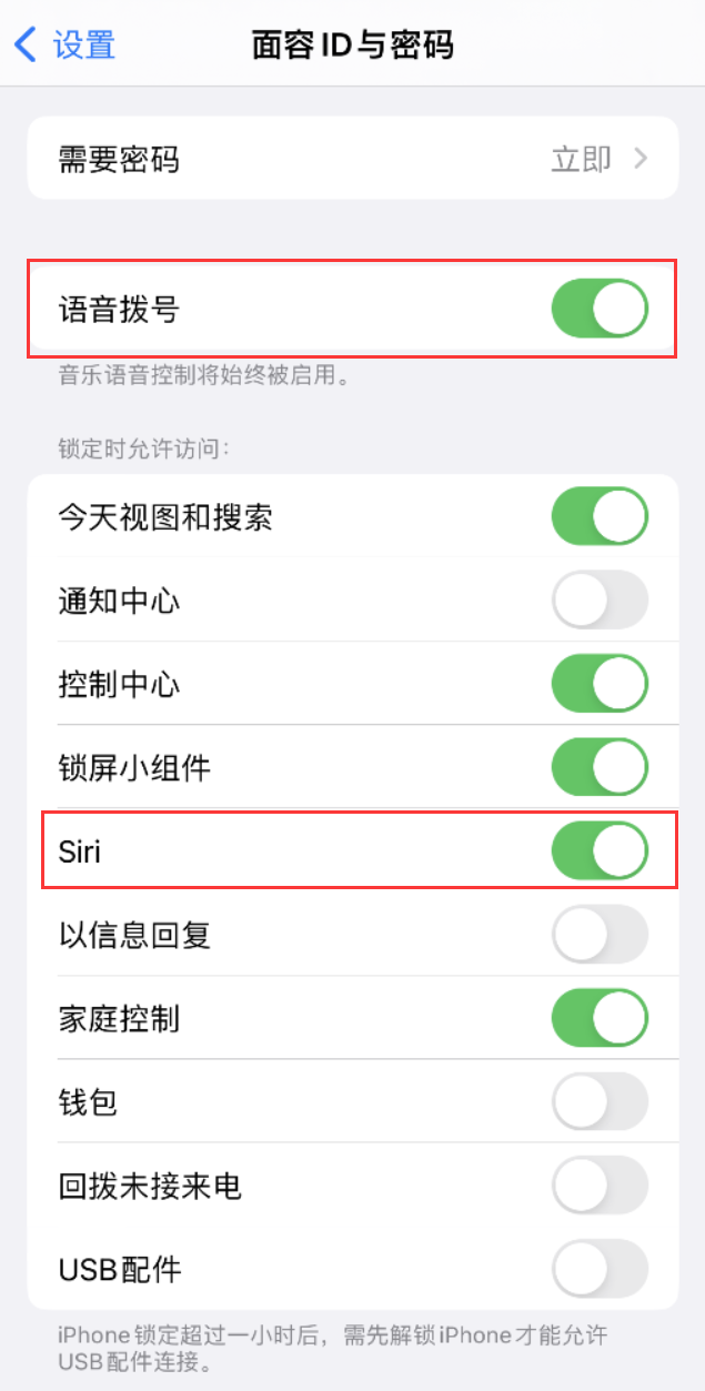 硚口苹果维修网点分享不解锁 iPhone 的情况下通过 Siri 拨打电话的方法 