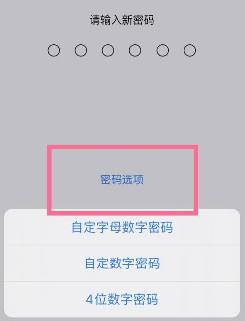 硚口苹果14维修分享iPhone 14plus设置密码的方法 