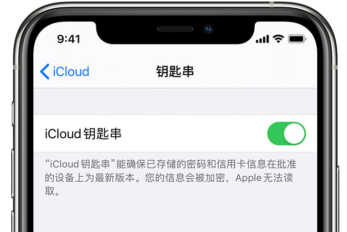 硚口苹果手机维修分享在 iPhone 上开启 iCloud 钥匙串之后会储存哪些信息 