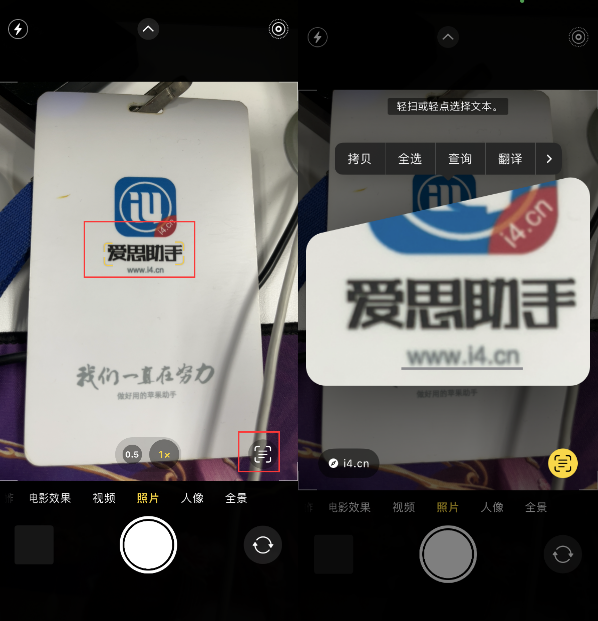 硚口苹果手机维修分享升级iOS 16后如何通过相机翻译文本 
