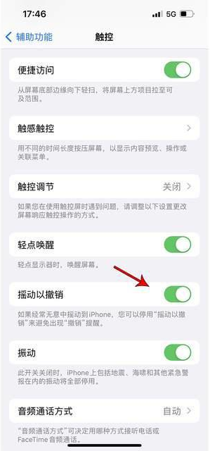 硚口苹果手机维修分享iPhone手机如何设置摇一摇删除文字 