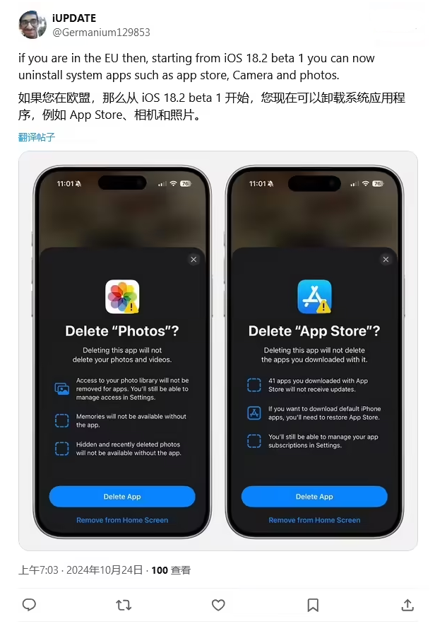 硚口苹果手机维修分享iOS 18.2 支持删除 App Store 应用商店 