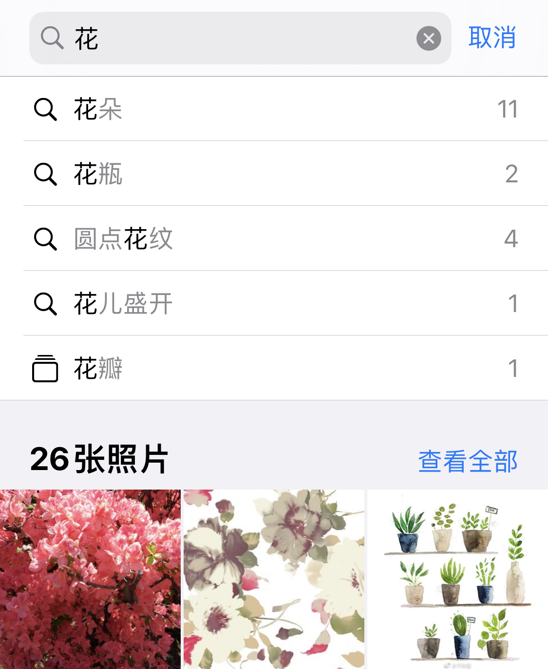 硚口苹果手机维修分享iPhone 小技巧 