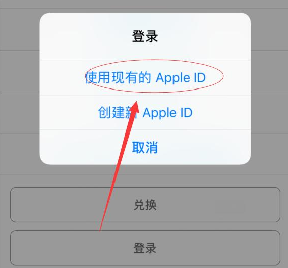 硚口苹果手机维修分享两台iPhone设备可以同时登录一个Apple ID吗 