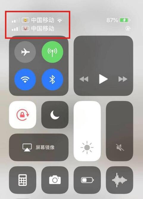 硚口苹果手机维修分享为 iPhone 12 双卡设置标签 