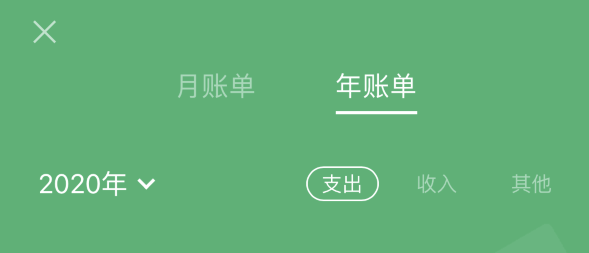 硚口苹果手机维修分享如何在 iPhone 上查看支付宝和微信年支出账单 